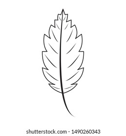 Autumn leaf season nature cartoon symbol vector illustration graphic design