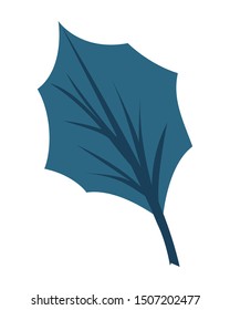 autumn leaf seasonal isolated icon
