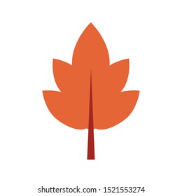 autumn leaf seasonal isolated icon vector illustration design