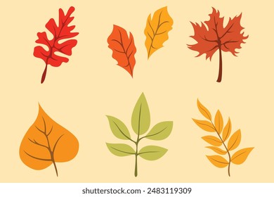 Autumn Leaf Set Collection Icon