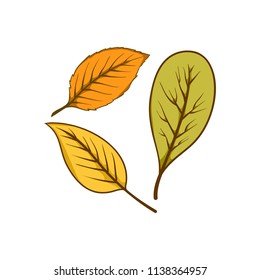 Autumn leaf set element