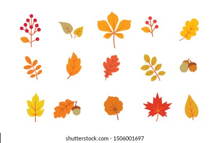 Autumn leaf set. Fall leaves nature icons over white background. Nature floral symbol collection