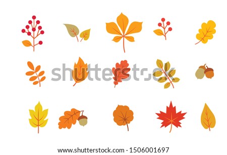 Autumn leaf set. Fall leaves nature icons over white background. Nature floral symbol collection