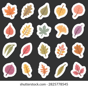 Autumn leaf set featuring plant foliage nature botanical season fall garden woodland vein seasonal flora deciduous leafage stem forest