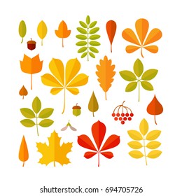 Autumn leaf set isolated on white background. Art vector illustration.