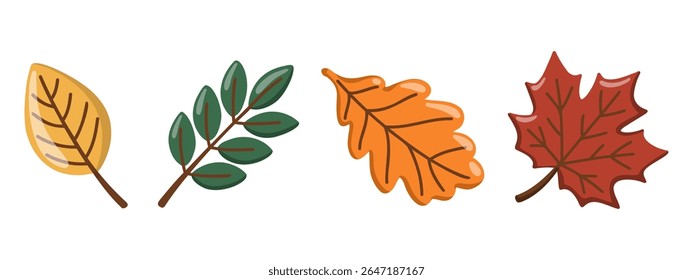 Folhas de outono com ramos de bordo, carvalho e folhagem. Herbário de outono. Ilustração isolada de vetor de desenhos animados 