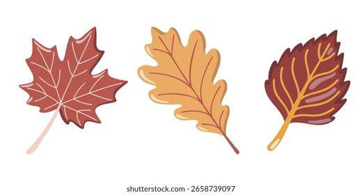 Herbstblatt mit Ahorn, Eiche und Ulmenblättern. Fallzeitclipart. Vektorgrafik einzeln auf weißem Hintergrund.