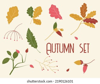 Autumn Leaf Set. Vector illustration of leaves, berries and acorns in orange and pink. Drawings of fall plants for a print or advertisement.	