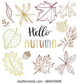 Autumn Leaf set - vector silhouette of colored leaves on white background