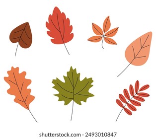 Autumn leaf set. Yellow, orange, red and green oak and birch leaves collection. Fall tree foliage, dry seasonal plants, design elements. Flat vector illustration isolated on white background