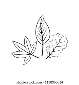 Autumn leaf silhouette