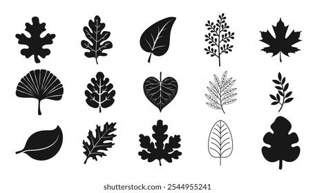 Autumn Leaf Silhouette. Leaf Collection.