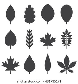 Autumn leaf silhouette set. Green, red and orange fallen autumn leaves outline collection. Maple, spruce, oak, rowan, birch and more vector leaves isolated on white background.