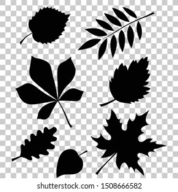 autumn leaf silhouette vector collection