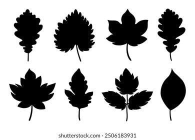 Autumn leaf silhouettes collection. Fall leaves foliage silhouettes isolated on white background