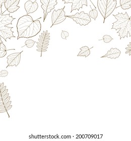Autumn leaf skeletons template. EPS10