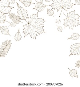 Autumn leaf skeletons template. EPS10