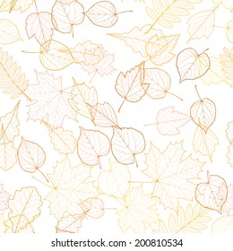 Autumn leaf skeletons template. EPS10