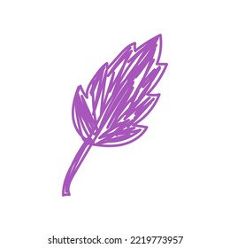 Autumn leaf sketch. Hand drawn vector illustration. Pen or marker doodle plant