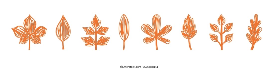 Esbozo de hojas de otoño. Ilustración vectorial dibujada a mano. Planta de doodle para dibujar lápices o marcadores