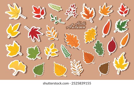 Herbstblatt-Aufkleber-Set. Aufkleber Satz von bunten Herbstblätter von verschiedenen Bäumen. Herbstlaub mit verschiedenen Formen und Farben. Flacher Vektor im Cartoonstil, einzeln auf weißem Hintergrund.