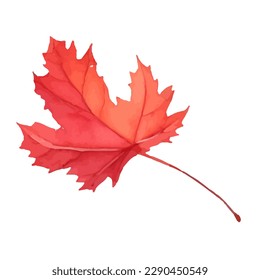 autumn leaf with style hand drawn digital painting illustration