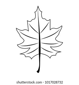 Autumn Leaf Symbol Stock Vector (Royalty Free) 1017028732 | Shutterstock