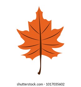 Autumn leaf symbol