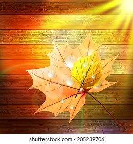 Autumn Leaf template with water droplets on wood. plus EPS10 vector file