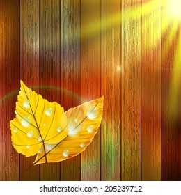 Autumn Leaf template with water droplets on wood. plus EPS10 vector file