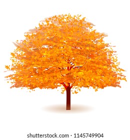 Autumn leaf tree icon