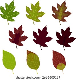 Autumn Leaf Variations – Botanical Illustration of Seasonal Foliage in Grid Layout (Hydrangea Leaf Edition) | EPS