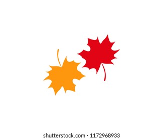 autumn Leaf vector 