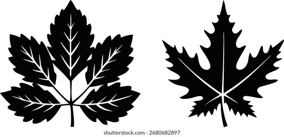 Autumn leaf vector art. leaf silhouette vector