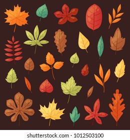 Autumn leaf vector autumnal leaves falling from fallen trees leafed oak and leafy maple or leafing foliage illustration fall of leafage set with leafage isolated on background