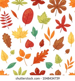 Autumn leaf vector autumnal leaves falling from fallen trees leafed oak and leafy maple or leafing foliage illustration fall of leafage set with leafage isolated seamless pattern background