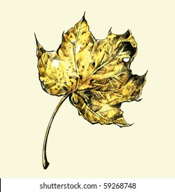 autumn leaf vector background