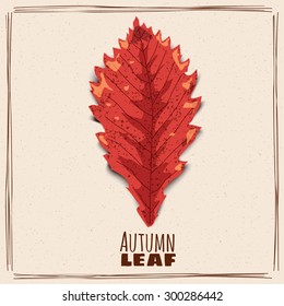 Autumn leaf vector, banner, illustration