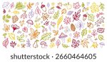 Autumn leaf vector bg. Fall leaves icon. Maple leaf, forest oak foliage, acorn background. Autumn forest leaves crayon set. Doodle chalk brush illustration. Kid hand drawn plant. Fall nature pattern