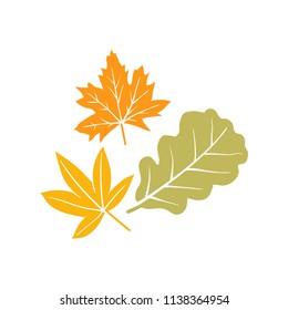 Autumn leaf vector collection