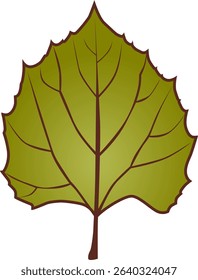 Autumn Leaf Vector Collection - Gradient Green