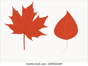 Ilustración del diseño del vector de hoja de otoño