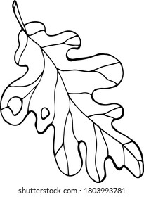 Autumn leaf vector graphic drawing. Coloring sheet of a tree. Black and white drawing of an oak leaf for coloring, crafts