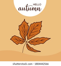 Autumn leaf vector for greeting template backgrounds. seasonal concepts autumn leaves