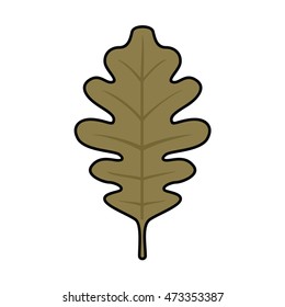 Autumn Leaf Vector Icon