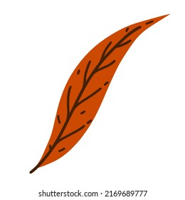 Autumn leaf vector icon. Hand drawn veined plant on a stem. Flat cartoon clipart isolated on white background. Fall botanical illustration, red leaf of willow, birch, cherry. Garden tree element