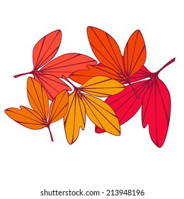 Autumn leaf vector illustration.