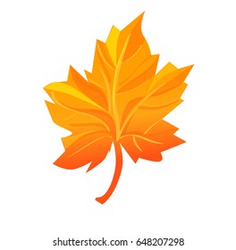 autumn leaf vector illustration 