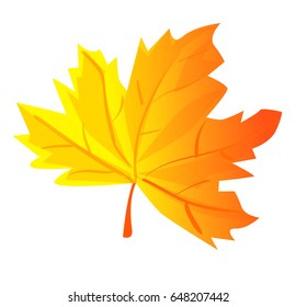 autumn leaf vector illustration 