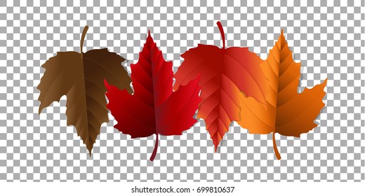 Autumn Leaf, Vector Illustration